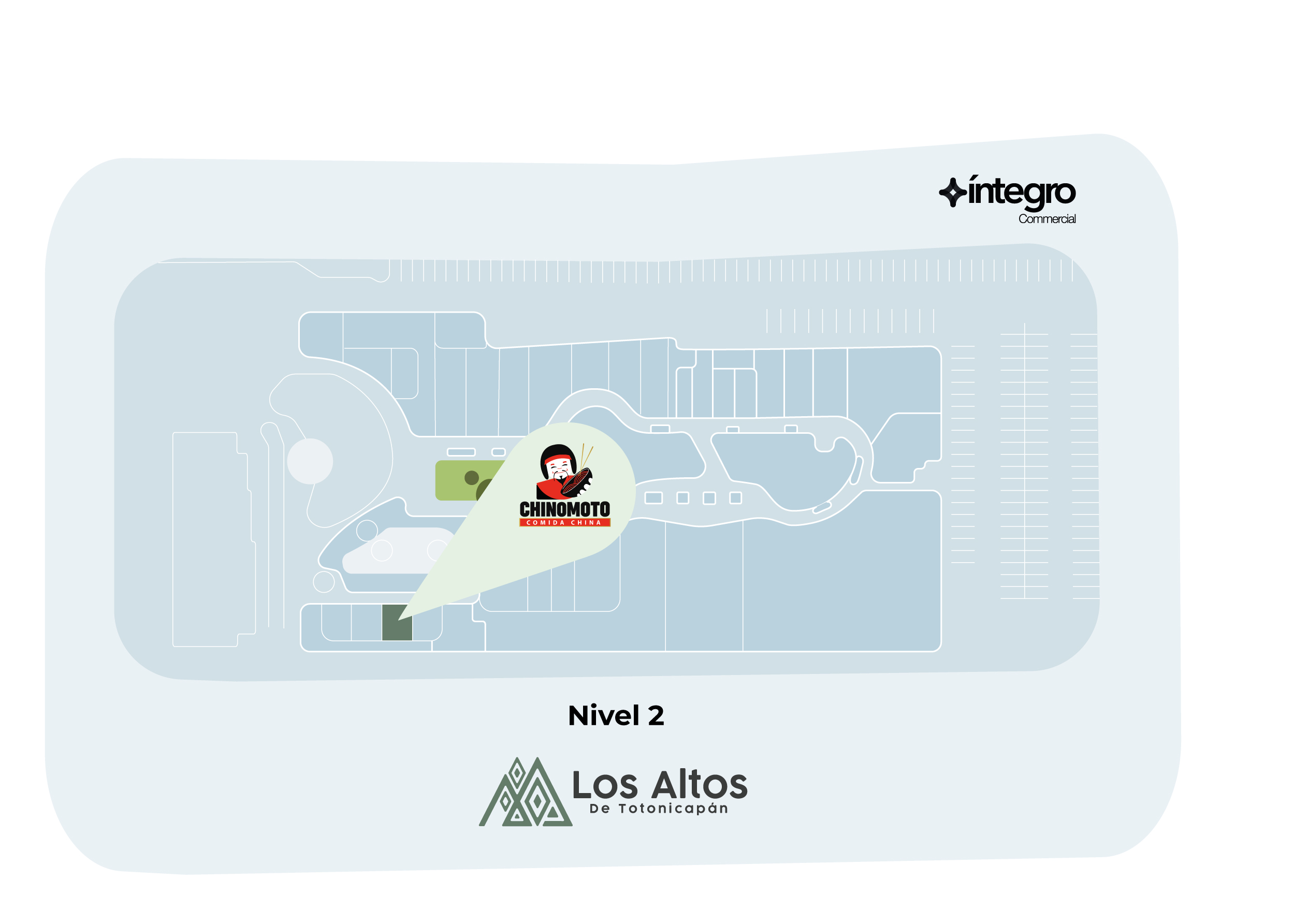 CROQUIS CHINOMOTO - Chinomoto