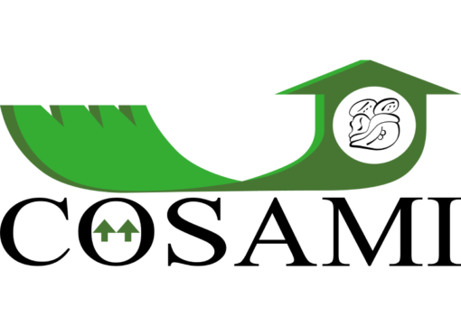 COSAMI 1 510x361 - Financiero