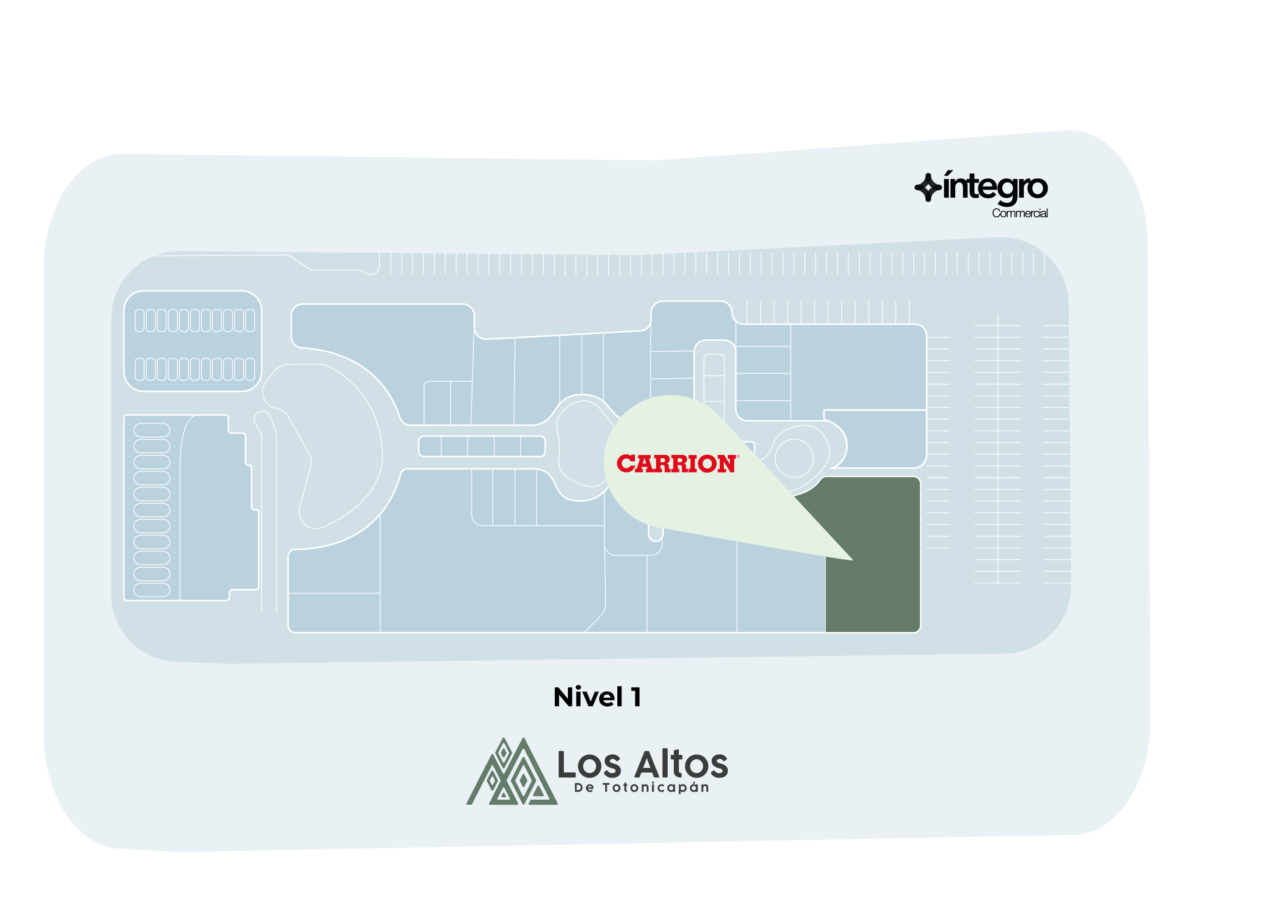 CROQUIS CARRION - Carrion
